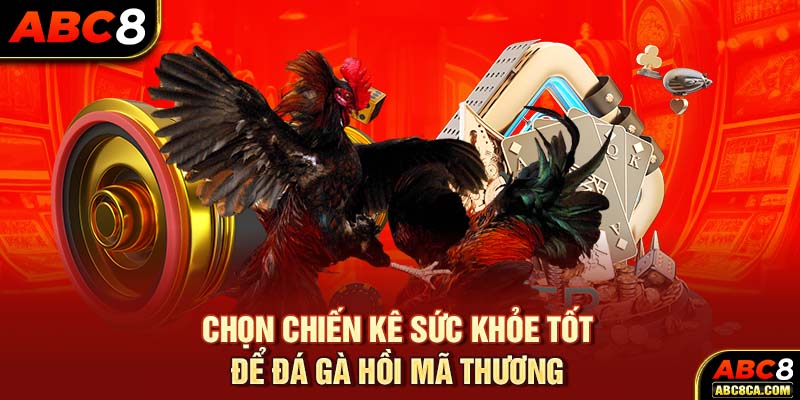 Chọn chiến kê sức khỏe tốt để đá gà hồi mã thương