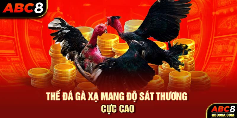 Thế đá gà xạ mang độ sát thương cực cao