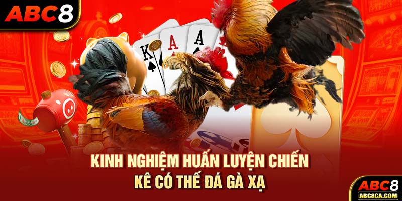 Kinh nghiệm huấn luyện chiến kê có thế đá gà xạ