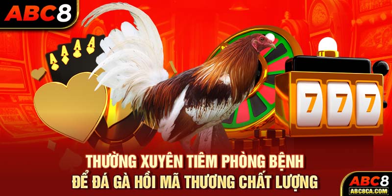 Thường xuyên tiêm phòng bệnh để đá gà hồi mã thương chất lượng