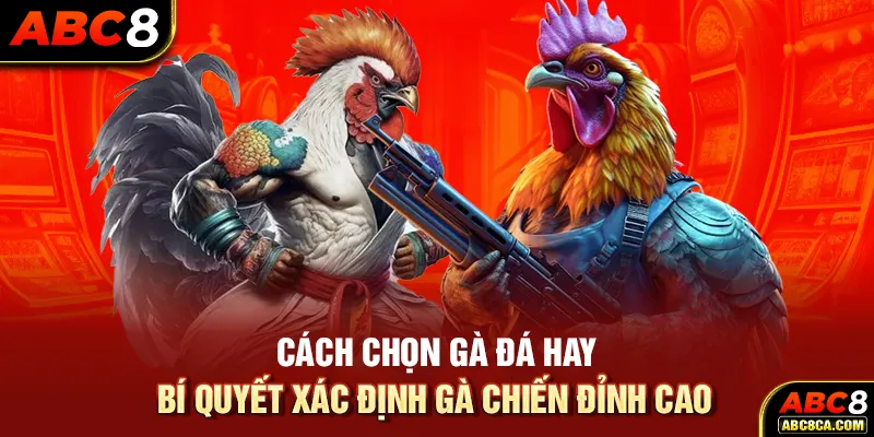 Cách Chọn Gà Đá Hay - 03 Bí Quyết Xác Định Gà Chiến Đỉnh Cao