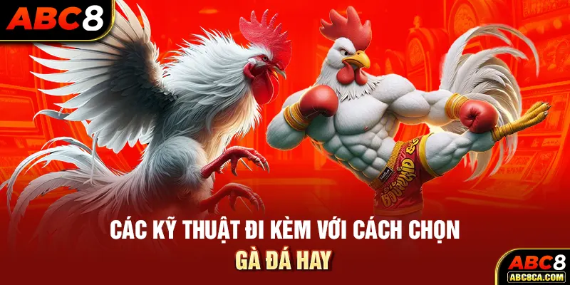 Các kỹ thuật đi kèm với cách chọn gà đá hay 